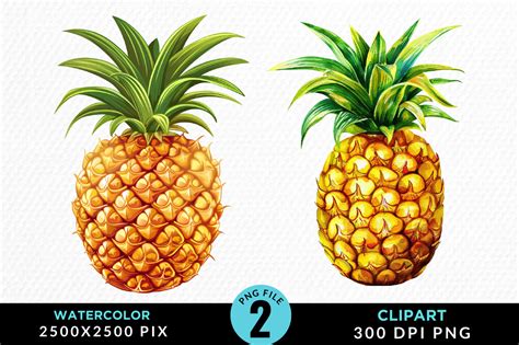 Watercolor Pineapples Clipart Png Design Graphic By Regulrcrative