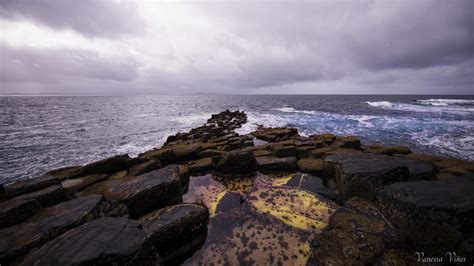 Staffa tour, part II: Staffa | TravScotland - Travelling Scotland / The ...