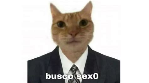 Busco Sexo Know Your Meme