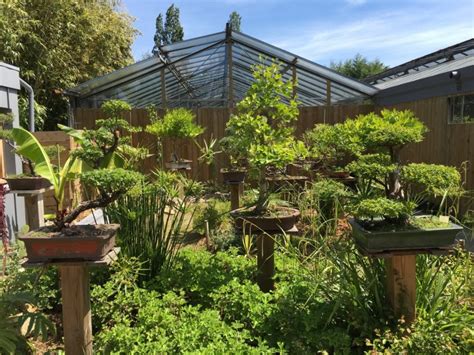 Visite Tropicarium Bonsaï Parc ou jardin Jardin tropical à LA BAULE