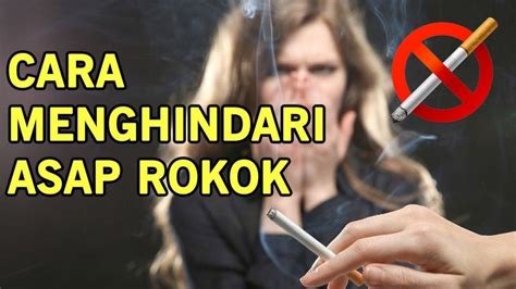 5 Cara Mudah Menjaga Imun Tubuh Agar Tetap Terjaga Setiap Saat Hanya