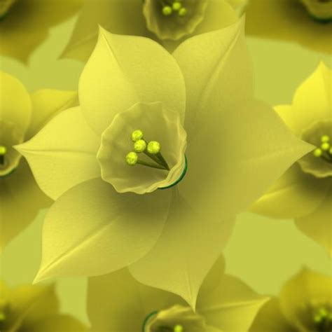 The Daffodils Summary