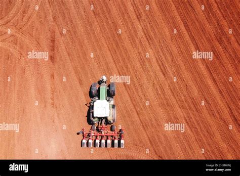 Processus De Plantation Banque De Photographies Et Dimages Haute