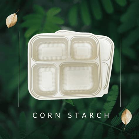 Biodegradable Compartment Corn Starch Lunch Box Set