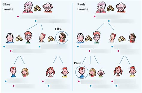 Schaubild Familie Diagram Quizlet