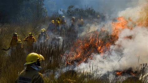 ¿cómo Afectan Los Incendios Forestales En La Calidad Del Aire Dentro De Casas Oficinas Y Otros