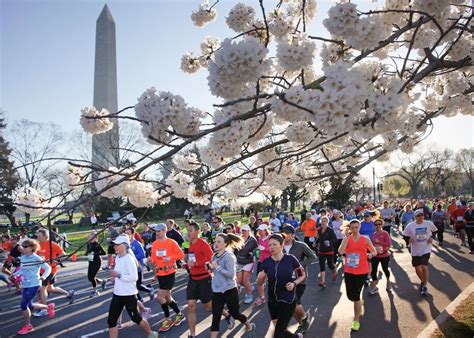 Cherry Blossom Ten Mile Run Washington Dc 452025 My Best Runs