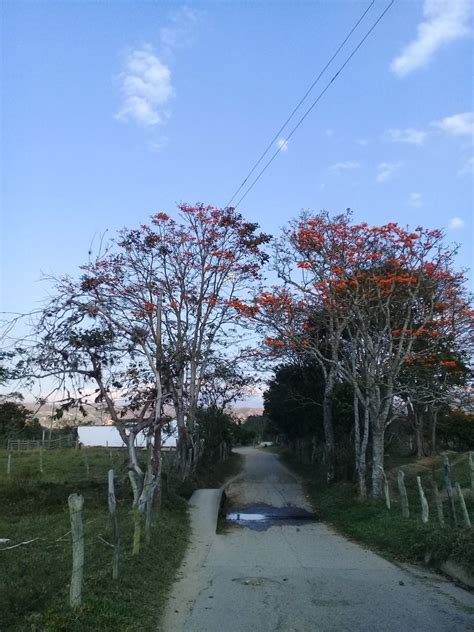 Historia De Colombia On Twitter Por Los Caminos De Abrego Norte De