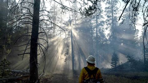 Forest Service Reopens Most California Forests After Fires Sacramento Bee