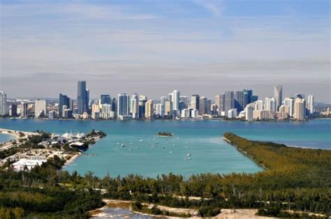 Environmentalists Outraged As Protected Florida Mangroves Razed For