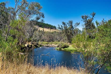 The Blackwood River Flowing Through The Forest Near Nannup Western