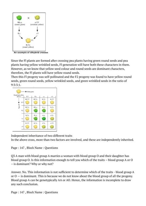 Ncert Solutions Class 10 Science Chapter 9 Heredity And Evolution