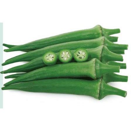 Jual Benih Okra Hijau Shopee Indonesia