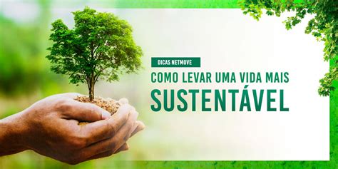 Dicas Simples Para Levar Uma Vida Mais Sustentável Netmove