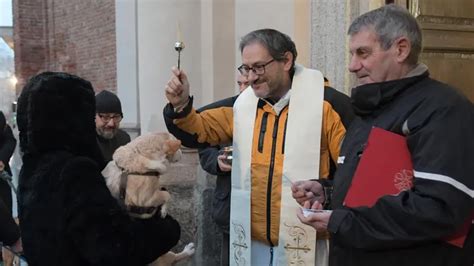 San Giuliano Per Santantonio Abate Si Rinnova La Tradizione Della