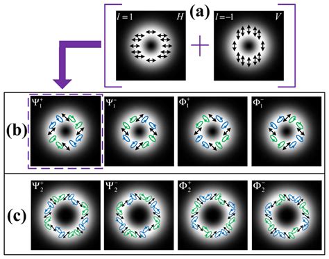 Schematic Showing The Polarization Distributions Of Vector Beams A