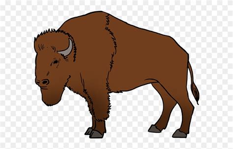 Buffalo Drawings Clip Art 20 Free Cliparts Download Images On