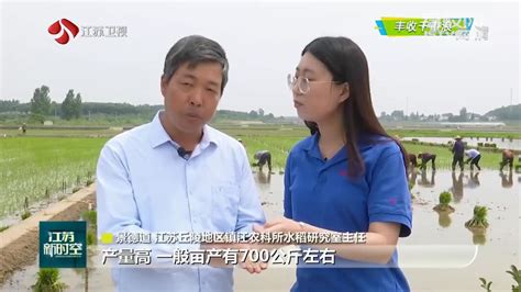 丰收千重浪 良种良法助力农民种好粮提产量社会新闻盐城网盐城第一新闻网盐城广播电视总台主办的视频新闻门户网站