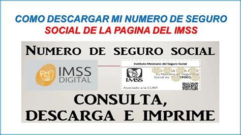 Como Descargar Mi Numero De Seguro Social De La Pagina Del IMSS 2024