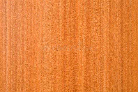 Wood Veneer Texture Stock Image Image Of Copy Text Grainy 2016077