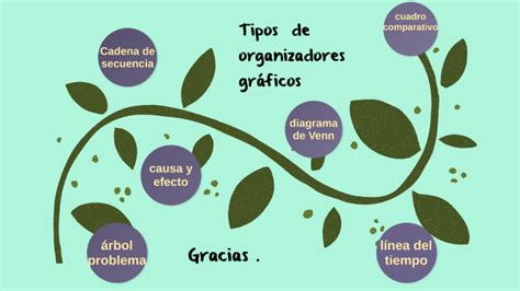 Tipos De Organizadores Gr Ficos By Viviana Latorre On Prezi