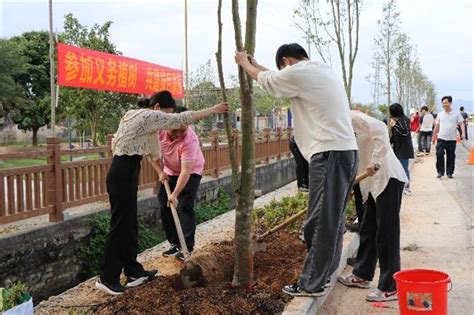 【端芬】春风催新绿，植树正当时——端芬镇开展义务植树活动镇街动态台山市人民政府门户网站