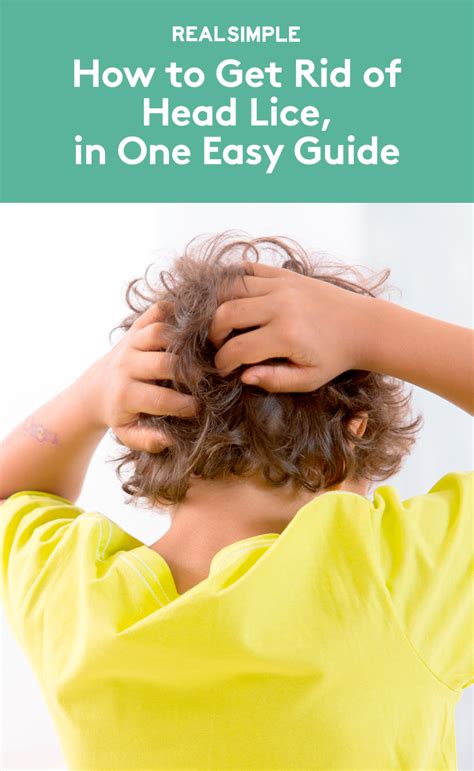 How To Get Rid Of Head Lice In One Easy Guide Head Louse Louse