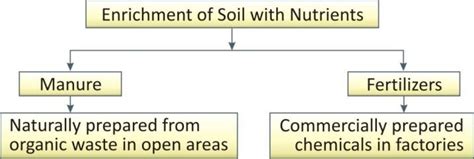 Crop Production And Management Notes Cbse 8th Classcrop Production And