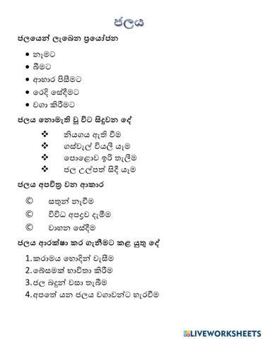 interactive worksheets   languages liveworksheets