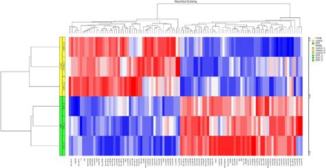 Hierarchical Clustered Heat Map Depicting Mirna Expression In Sdf 1 Download Scientific Diagram