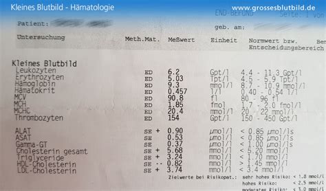 Kleines Blutbild Tabelle Der Werte Einfach Erkl Rt