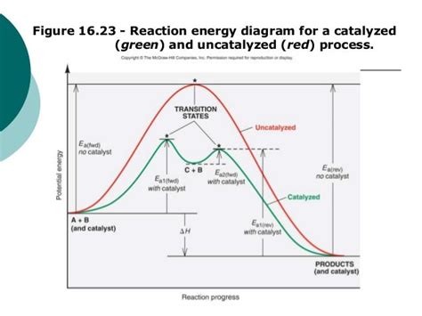 Energy Diagram Catalyzed Vs Uncatalyzed Reaction Wiring Diagram Pictures