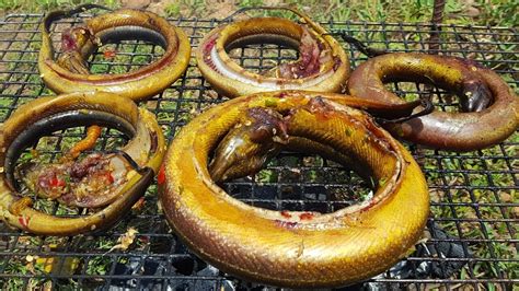 Nice Eel Fish Roasting Cooking Food With Eel Fish Natural Food Cook