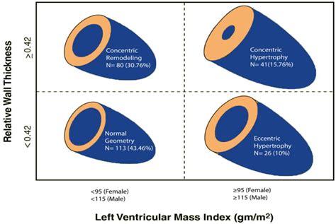 Clinical Correlation Of Left Ventricular Geometric Patterns At King