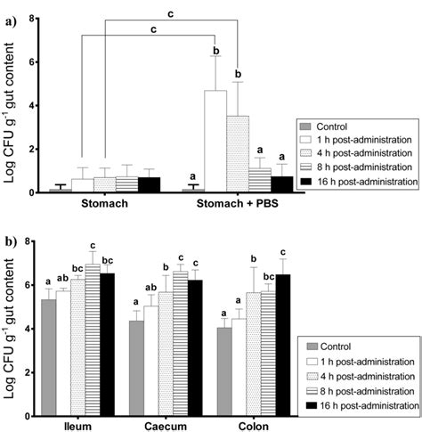 Relative quantification of Lactiplantibacillus plantarum CFU g¹ within