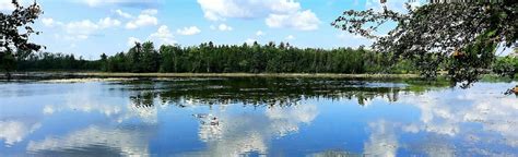 Island Lake Conservation Area Trail Ontario Canada 170 Reviews Map