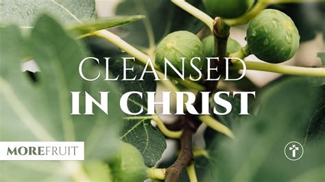 Cleansed in Christ Louis Kotzé YouTube