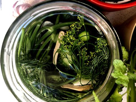 Polish Day Dill Pickles Cookinpolish Polish Food Recipes