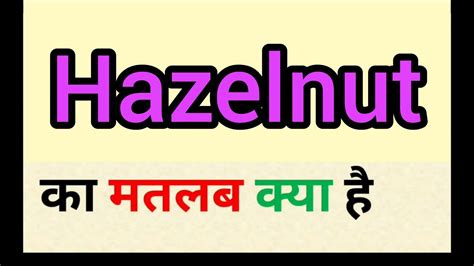 Hazelnut Meaning In Hindi Hazelnut Ka Matlab Kya Hota Hai Word