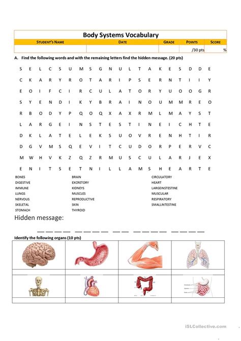 Free Printable Human Body Systems Worksheets