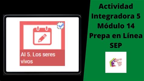 Tutorial Actividad Integradora M Dulo Youtube