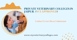 Direct Admission In Private Veterinary Colleges In India BVSc