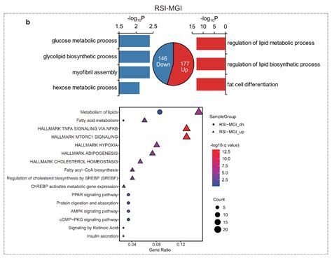 Ijms Free Full Text Profiling And Functional Analysis Of Long