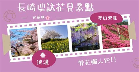 絕美百選櫻花、紫藤花海！長崎春天必訪四大花見景點 開新聞 Open News