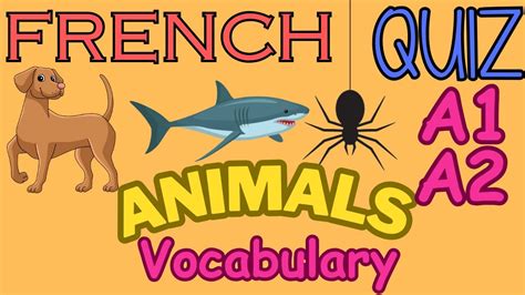 A1a2 Animals French Vocabulary French Quiz Youtube