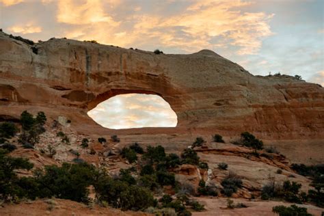 210 Wilson Arch Photos Stock Photos Pictures And Royalty Free Images