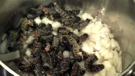 Making Mopane Worm Stew Youtube