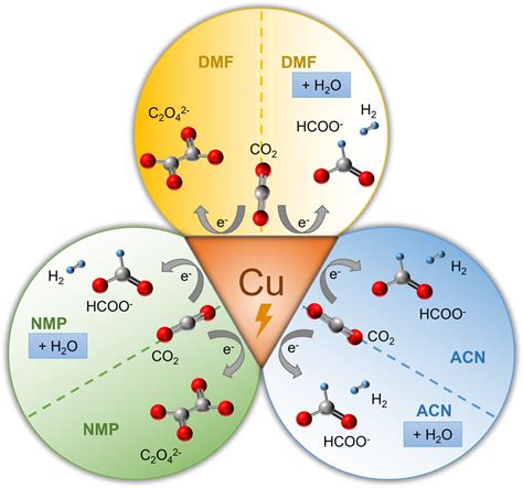 A Quantitative Analysis Of Electrochemical Co2 Reduction On Copper In Organic Amide And Nitrile