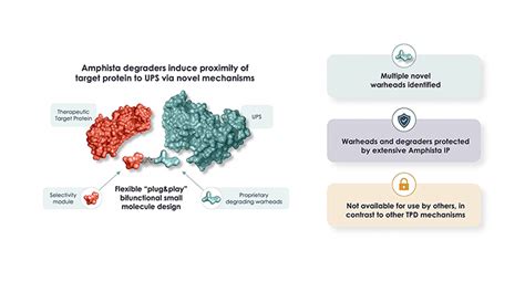 Pursuing New Paths In Targeted Protein Degradation Drug Development