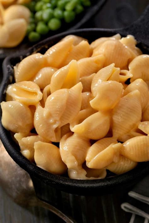 12 Best Shell Pasta Recipes - IzzyCooking